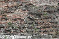 free photo texture of wall brick overgrown